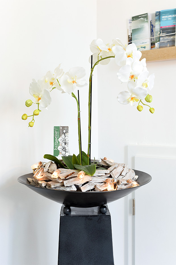 Foto aus der Fotogruppe 